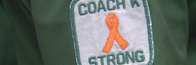 LSW Baseball Scores banner