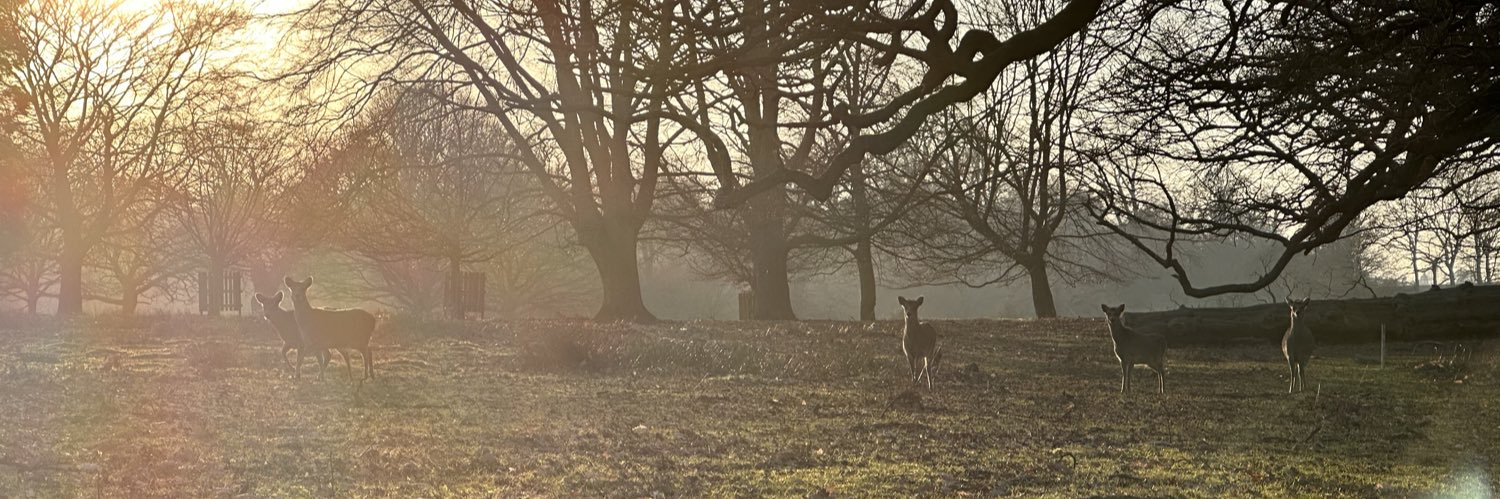 Ewan314's profile banner image