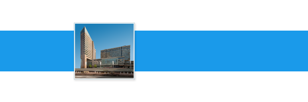 HofDenHaag Profile Banner