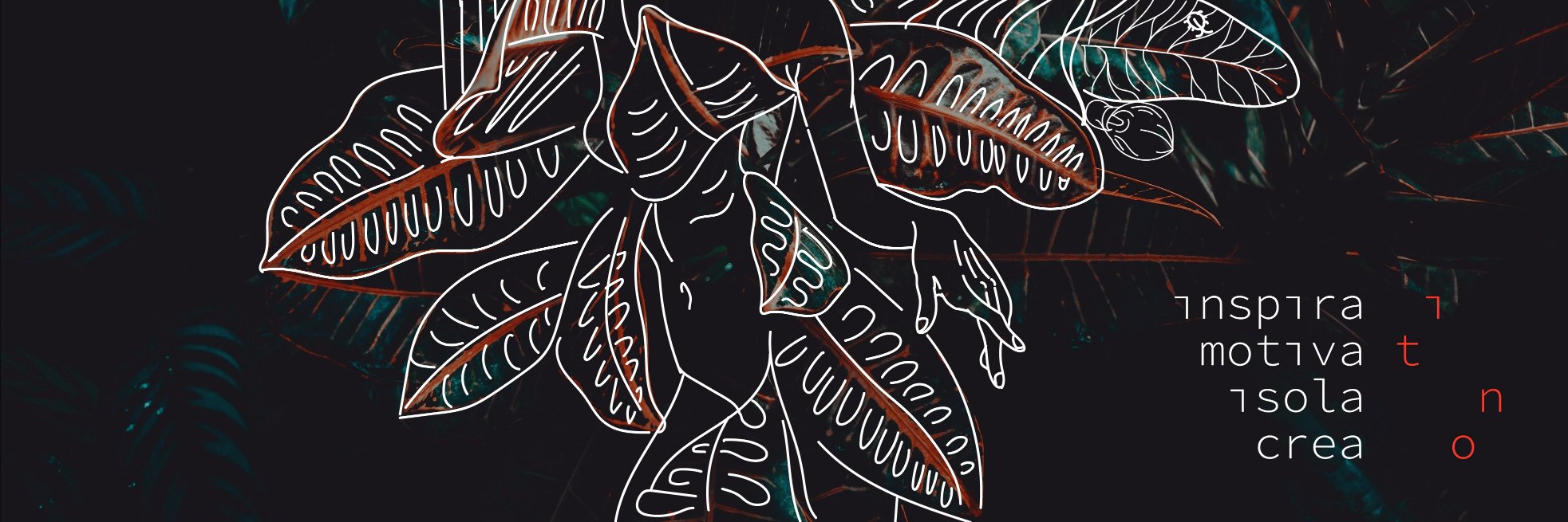 turanqa's profile banner image
