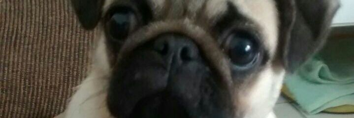 adailtonbernard's profile banner image