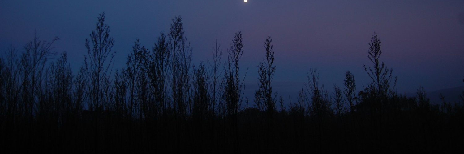 notunknownfr_'s profile banner image