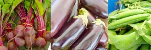 MalvernFM Profile Banner