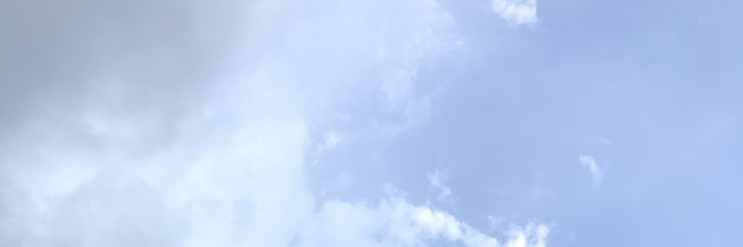 seungcheolcs's profile banner image
