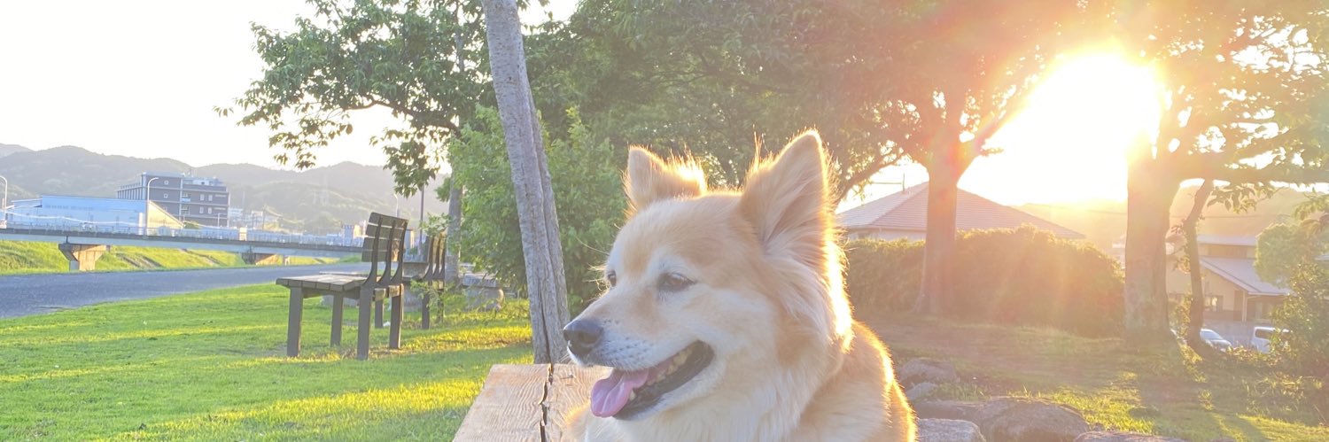 ochackonia's profile banner image