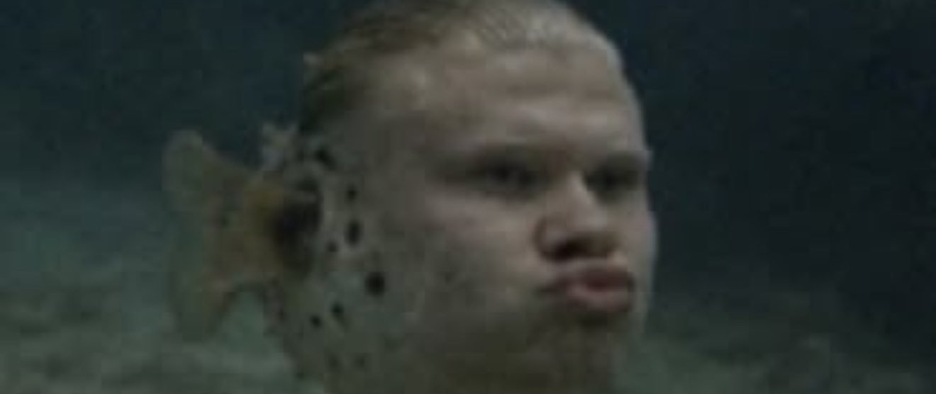 ewSteppin's profile banner image