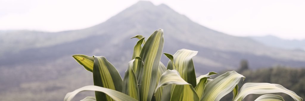 siscaanggreni's profile banner image