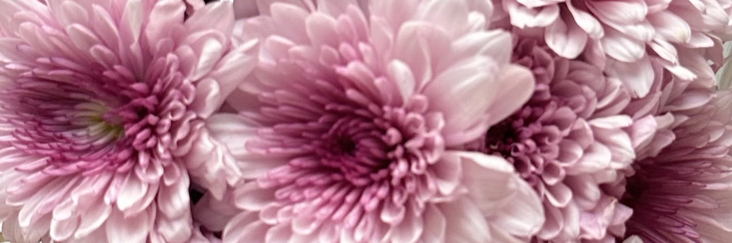 fatimaalt05's profile banner image