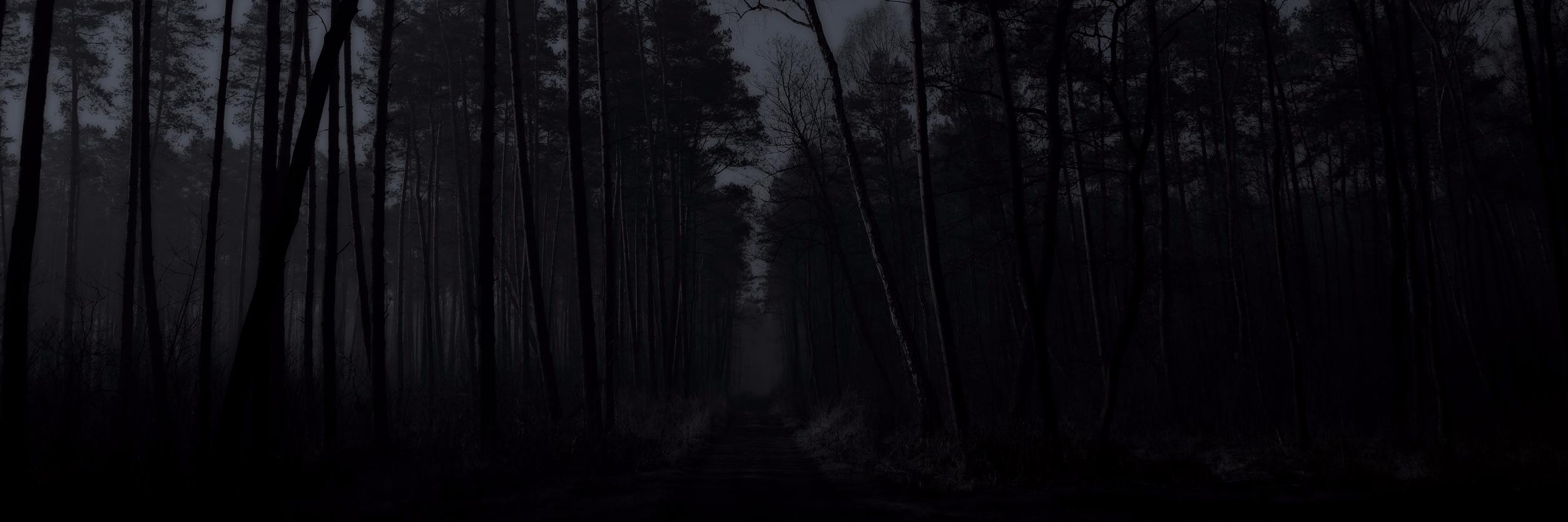 ybjack's profile banner image