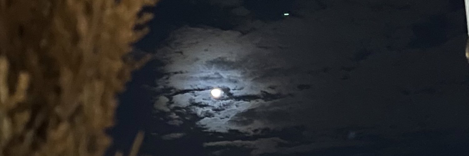 pxllv1's profile banner image