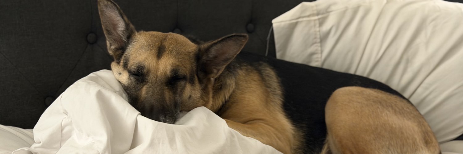 Merissa Hansen banner