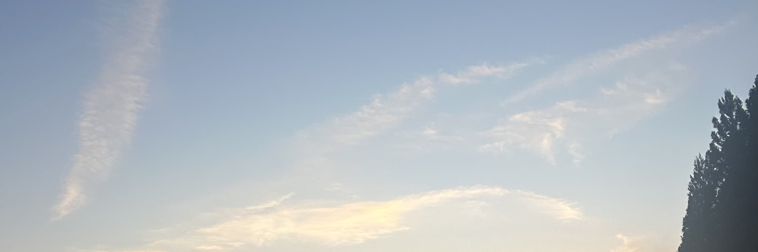 ma26740458's profile banner image