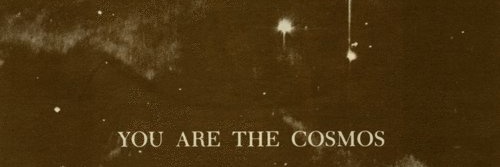 nefthestar's profile banner image