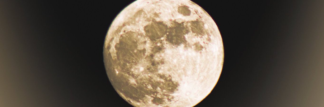 msvavavanity's profile banner image
