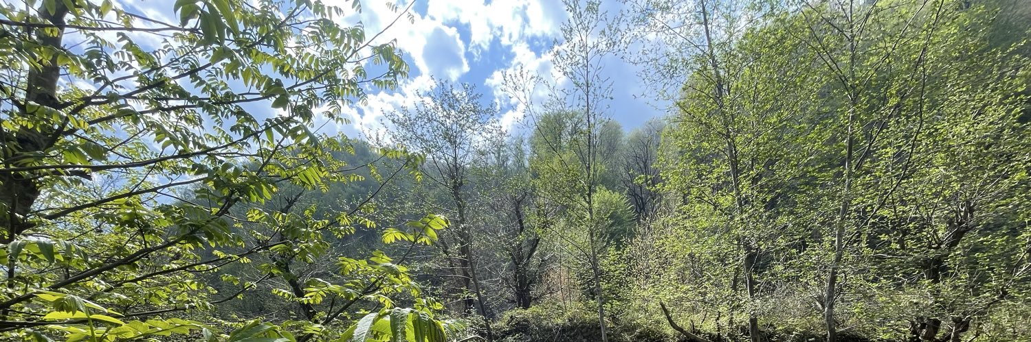 ذی‌ن‌ذی‌ banner