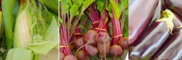 DowningtownFM Profile Banner