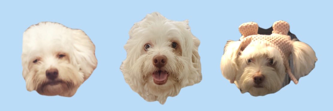 wthmyshell's profile banner image