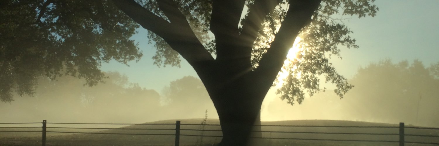 benkenwill's profile banner image