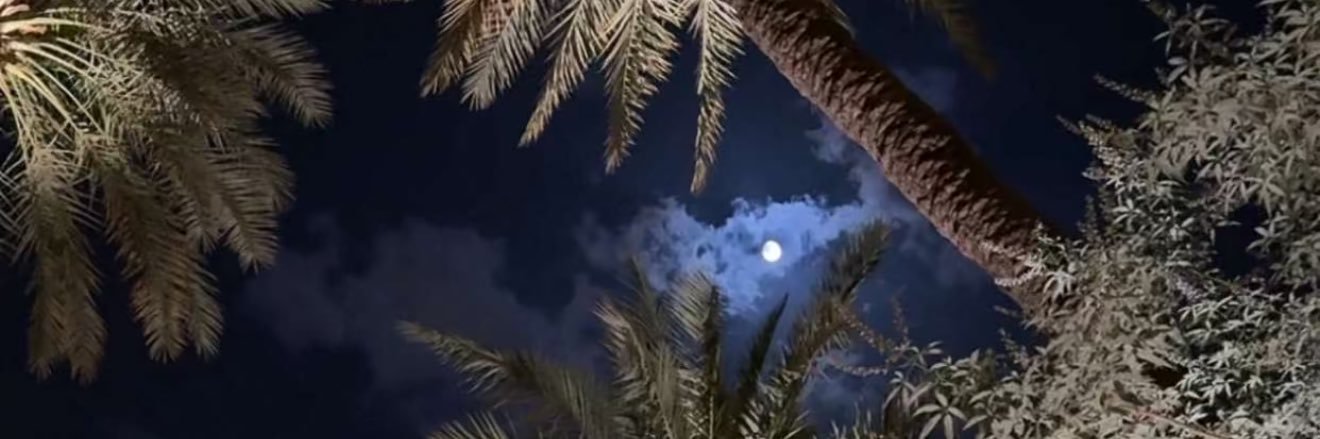 رشـــــا ⚜️ banner