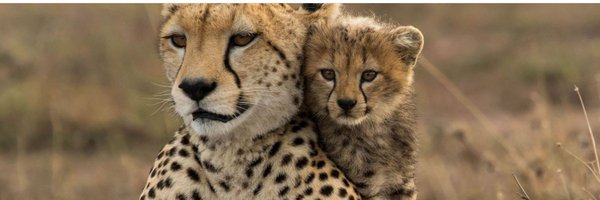 we_thesilent1 Profile Banner