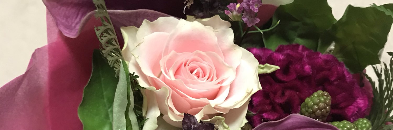 snowdrop1005's profile banner image
