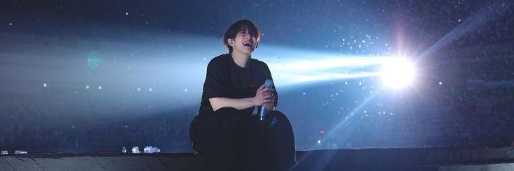 laura ☆ (cheol's version) banner