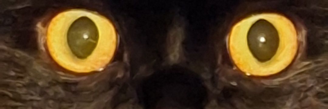 MackHall08's profile banner image