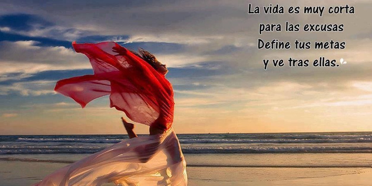 AngelaEVicente's profile banner image
