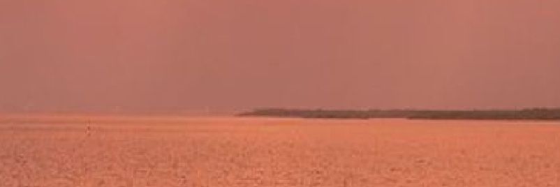 jenmaryd's profile banner image