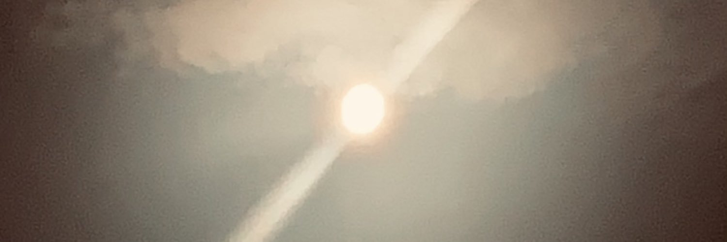 I’m with Ike banner