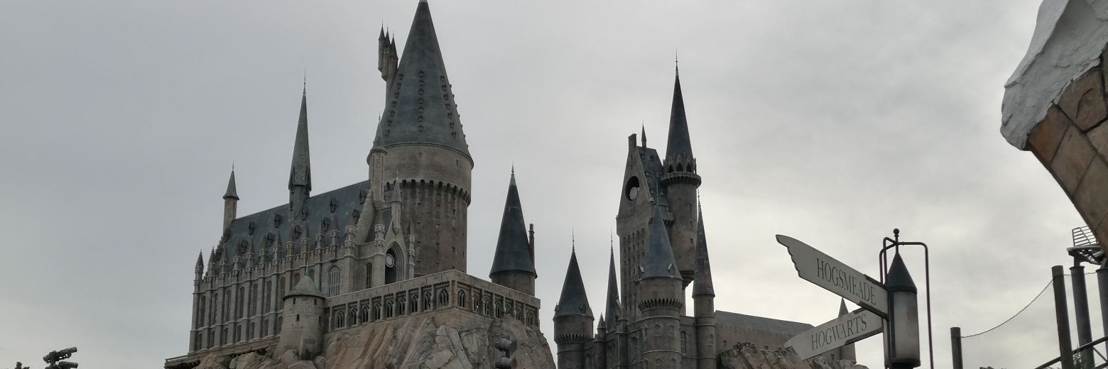 Alejandro Gonzalez banner