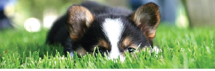 ItIsI_Andrea's profile banner image