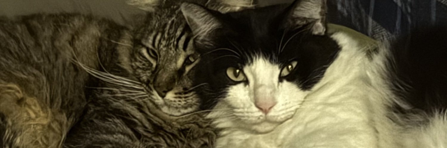 micheelletorres's profile banner image