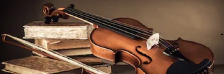 Anne Delgado banner