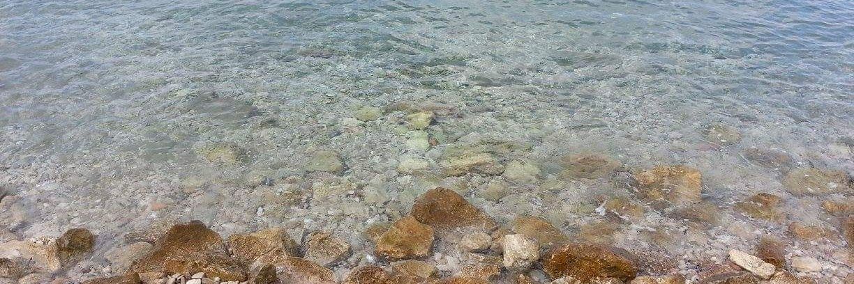 María José Trejo banner