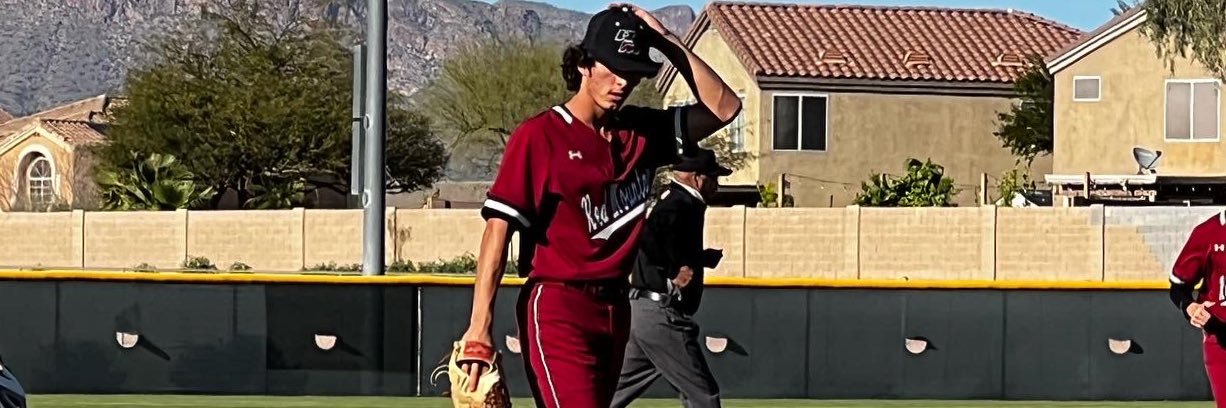 Nicholas Walter banner