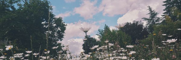 readyaimfire27 Profile Banner