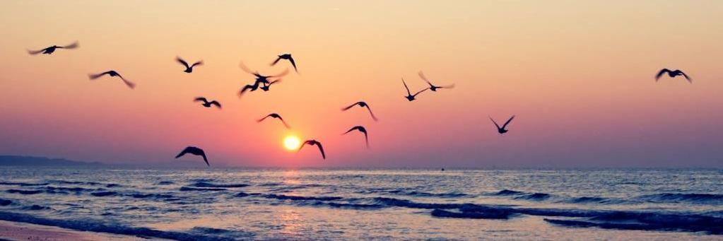 duvinca_'s profile banner image
