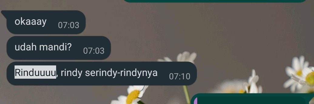 RindyFjwt's profile banner image