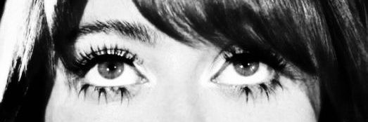 loira burra banner