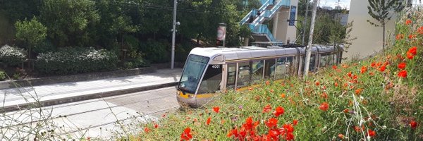 Luas Profile Banner