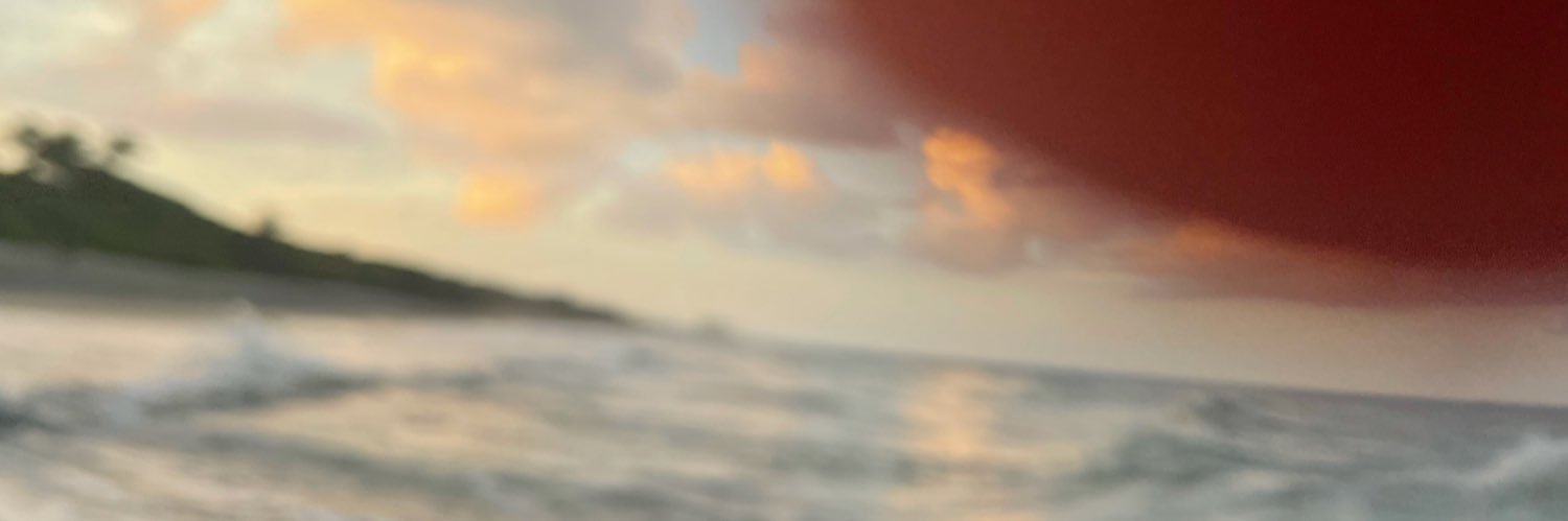 ReneeShackleton's profile banner image
