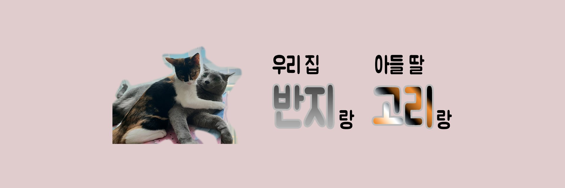 반지고리 banner