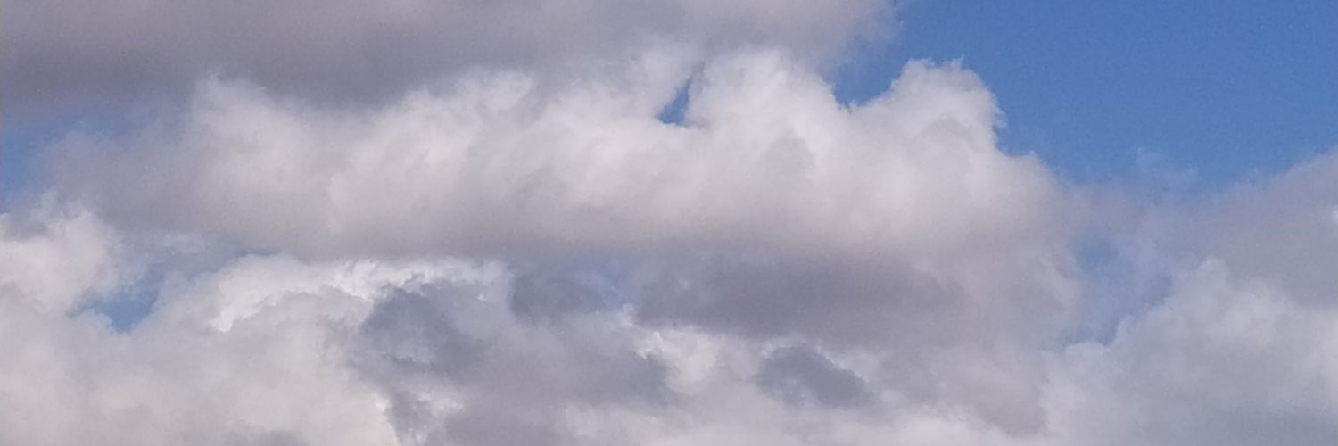 BLACKDOGSHADOW's profile banner image