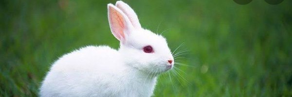 axiznet Profile Banner