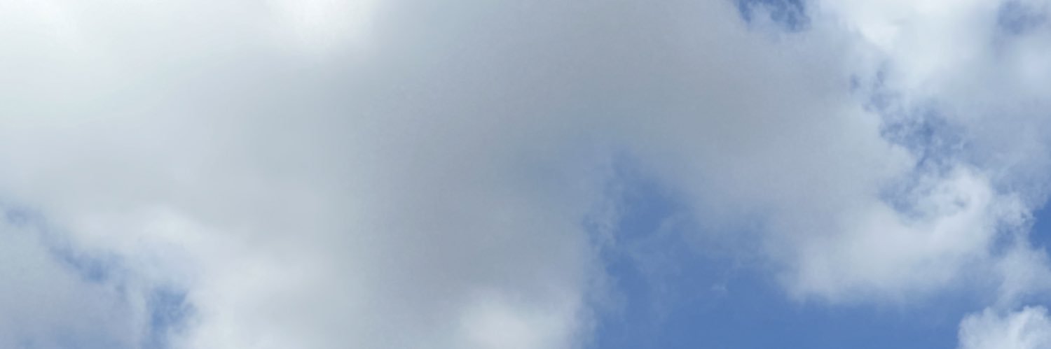 theninees's profile banner image