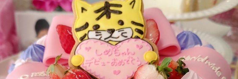 rikarin623's profile banner image