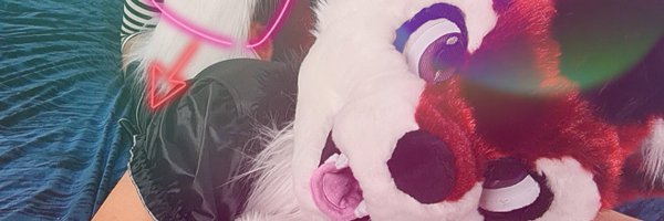ArcoHusky Profile Banner