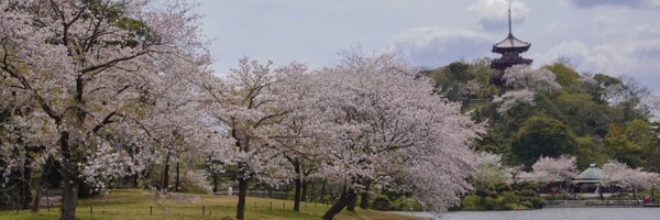 shailagarde Profile Banner
