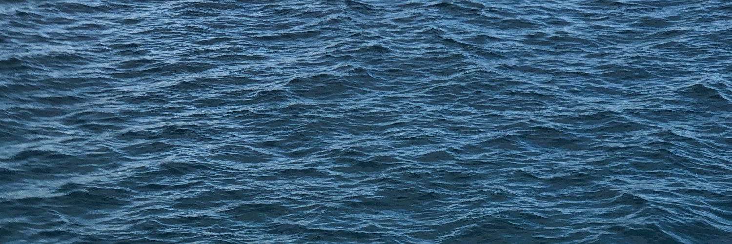 baebeaexplorer's profile banner image